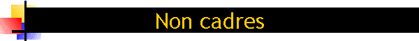 Non cadres